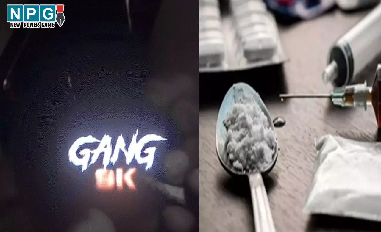 Raipur News:  रायपुर में ड्रग्स लेते फिर वीडियो वायरल, चलती कार और गैंग साॅन्ग पर 100 के नोट से खींचते दिखा युवक...