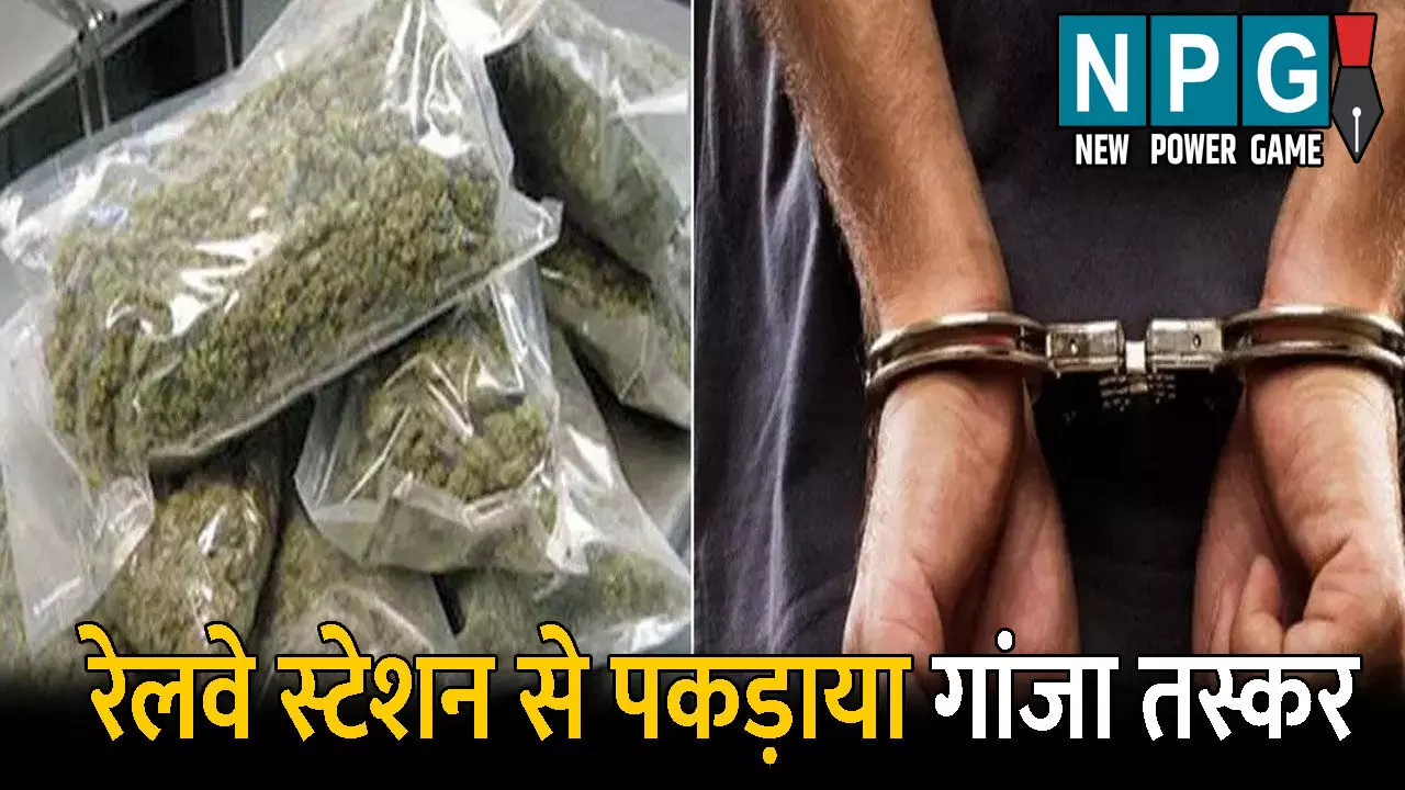 Raipur Crime News: रायपुर रेलवे स्टेशन से पकड़ाया गांजा तस्कर, लाखों का गांजा बरामद, प्रयागराज ले जाने की थी तैयारी