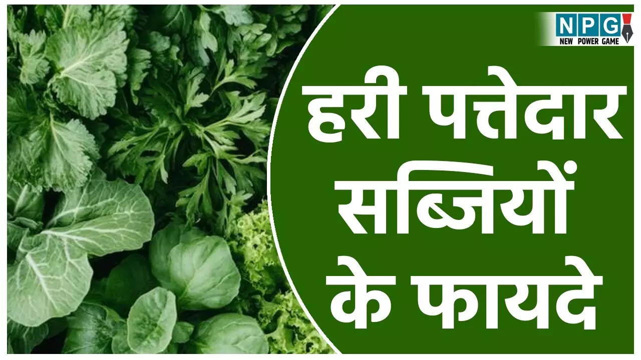 Hari Pattedar Sabziyon Ke Fayde: केवल 100 ग्राम हरी पत्तेदार सब्ज़ी रोज खाने से बदल जाएगा जीवन, स्ट्रोक, हार्ट अटैक, डायबिटीज़, जैसी बीमारियों से बचने के लिए डाइट में करें शामिल..