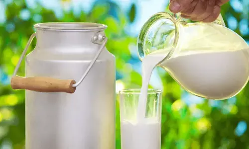 Milk Purity Test At Home: क्या आप भी पी रहे है मिलावटी दूध? इन 10 आसान घरेलू तरीकों से करें शुद्धता की पहचान, अपनाएं ये टिप्स
