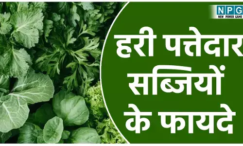Hari Pattedar Sabziyon Ke Fayde: केवल 100 ग्राम हरी पत्तेदार सब्ज़ी रोज खाने से बदल जाएगा जीवन, स्ट्रोक, हार्ट अटैक, डायबिटीज़, जैसी बीमारियों से बचने के लिए डाइट में करें शामिल..