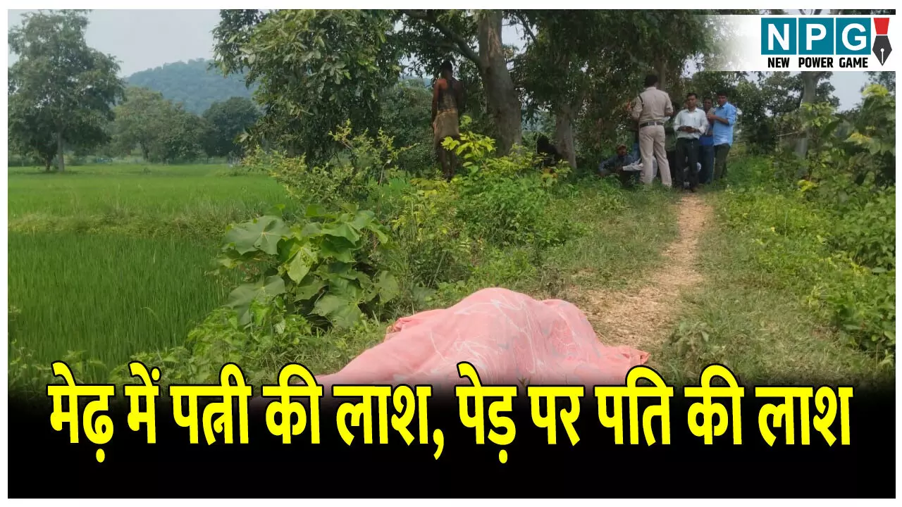 Bilaspur Crime News: खेत के मेढ़ में मिली महिला की लाश, पेड़ पर लटका था पति का शव,दो मासूम हुए बेसहारा