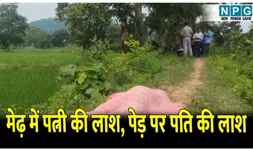 Bilaspur Crime News: खेत के मेढ़ में मिली महिला की लाश, पेड़ पर लटका था पति का शव,दो मासूम हुए बेसहारा