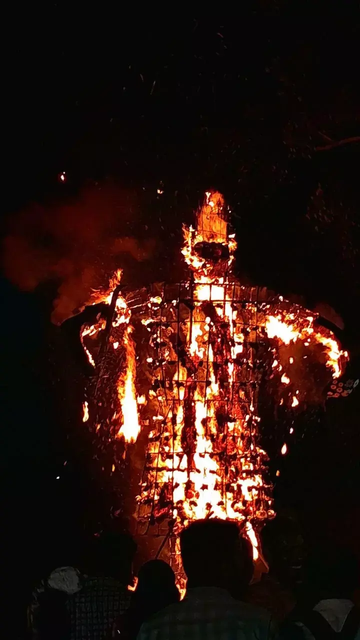 Dussehra Ke Din Neelkanth Dekhna: दशहरे के दिन नीलकंठ देखने का क्या है महत्व? जानें इससे जुड़ी मान्यता