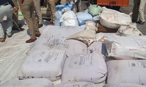 MCB News: नशीले पदार्थों पर सर्जिकल स्ट्राइक: SP की उपस्थिति में किया गया भारी मात्रा में नशे का नष्टीकरण...