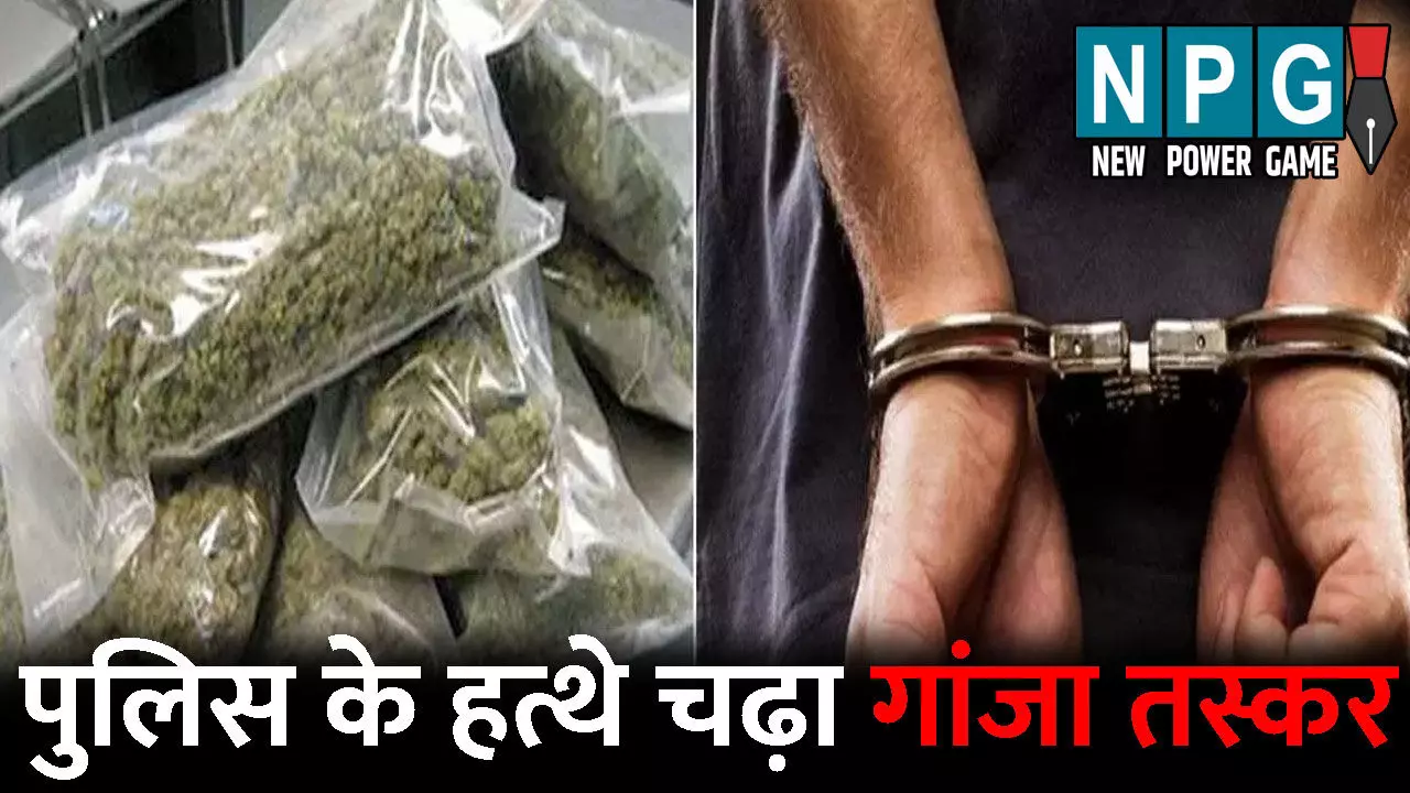 Raigarh Crime News: पुलिस के हत्थे चढ़ा गांजा तस्कर: ओडिशा से गांजा लाकर शहर में करता था सप्लाई, दो आरोपी पहले ही...