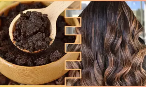 क्या कम उम्र में आपके भी बाल हो रहे है सफेद? अब नहीं होगी टेंशन! अपनाएं ये देसी नुस्खे और पाएं काले-घने बाल