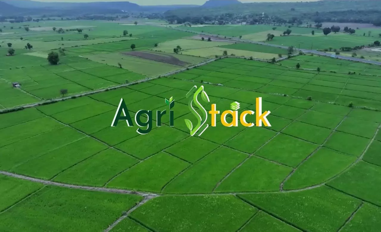CG किसानों की खबर: धान विक्रय के लिए किसानों को एग्रीस्टैक पंजीयन कराना अनिवार्य, जानिए क्या है एग्रीस्टैक पोर्टल...