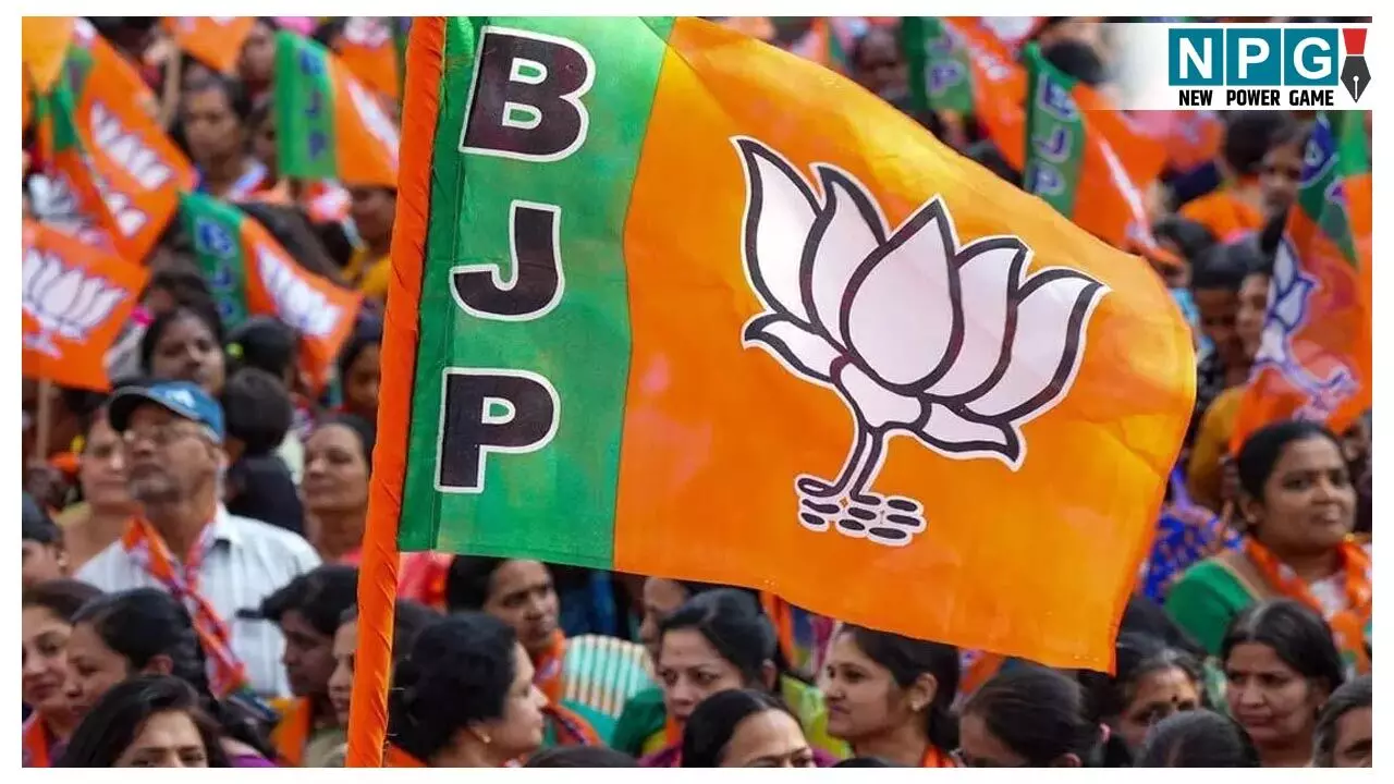 CG BJP Jila Padadhikari List: भाजपा ने की जिला पदाधिकारियों की घोषणा, किस नेता को क्या मिली जिम्मेदारी, देखिये लिस्ट