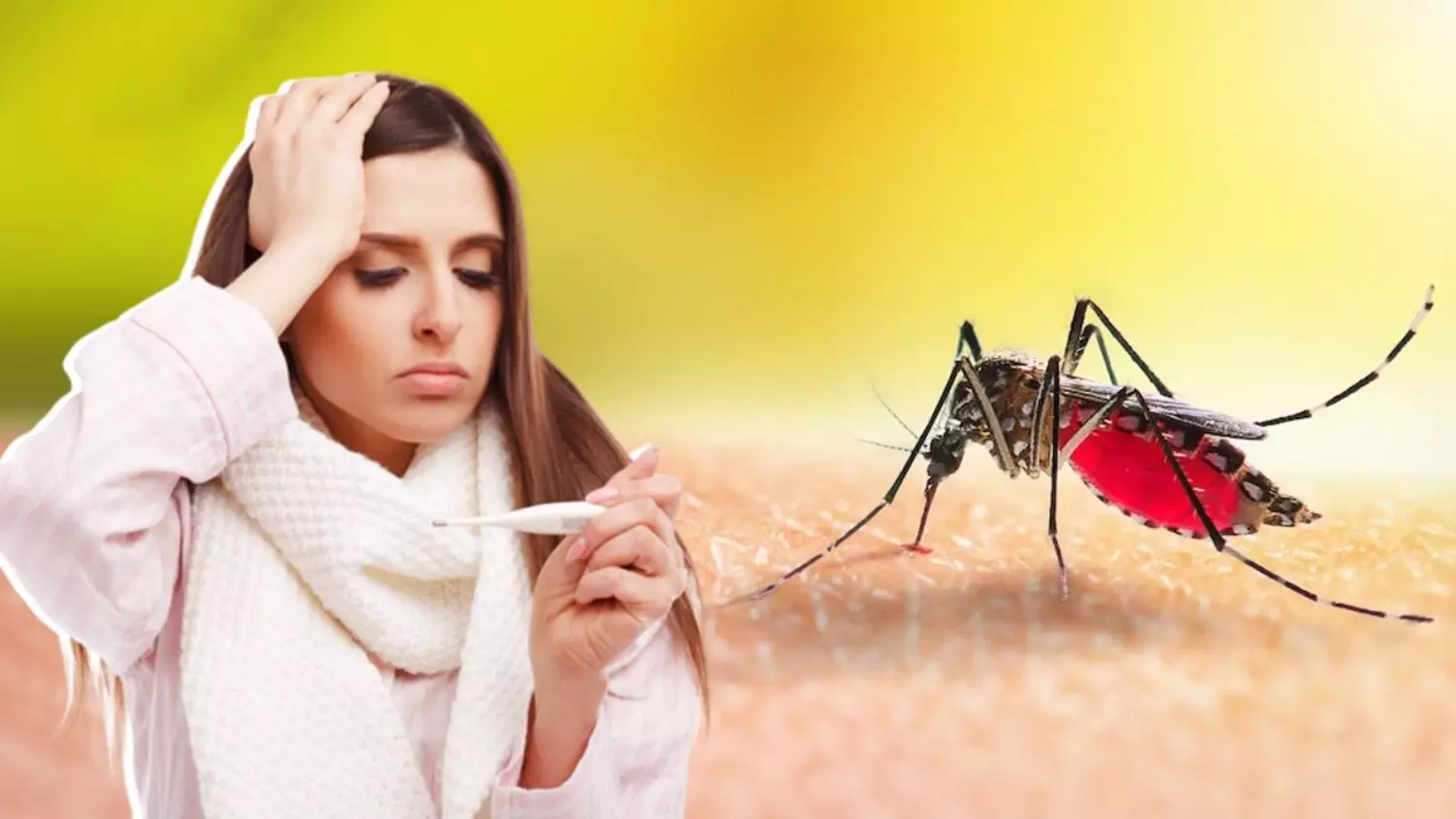 देशभर में बढ़े डेंगू शॉक सिंड्रोम के मामले! इस मच्छर के काटने से दो दिनों में हो जाती है मौत, जानें क्या है इसके लक्षण और बचाव के नियम