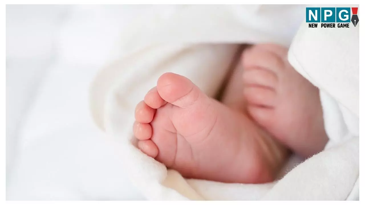 CG Crime News: मां बाप है या जल्लाद? थाने के पास नाले में तैरता मिला नवजात का शव, जाँच में जुटी पुलिस, CCTV से खुल सकता है राज