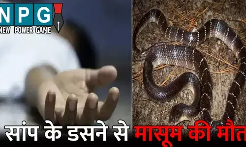 Dhamtari News: खेलते-खेलते काल के गाल में समा गया मासूम: सांप के डसने से हुई मौत, गुस्साए परिजनों ने सांप को भी खोजकर मार डाला