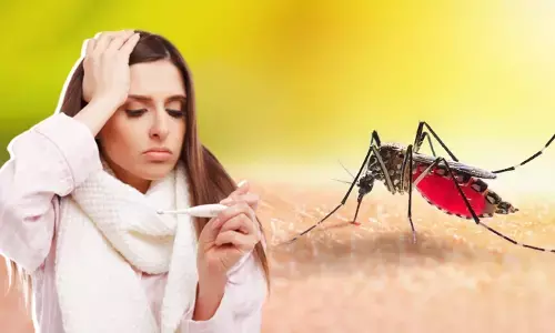 देशभर में बढ़े डेंगू शॉक सिंड्रोम के मामले! इस मच्छर के काटने से दो दिनों में हो जाती है मौत, जानें क्या है इसके लक्षण और बचाव के नियम