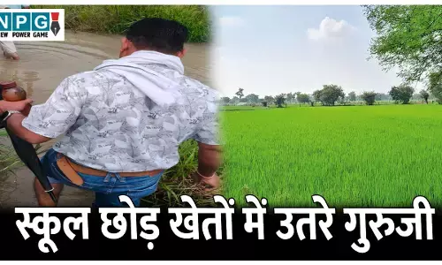 CG Janjgir News: स्कूल छोड़ खेतों में उतरे गुरुजी: कर रहे गिरदावरी कार्य का सत्यापन, हर एक गुरुजी को मिली जिम्मेदारी