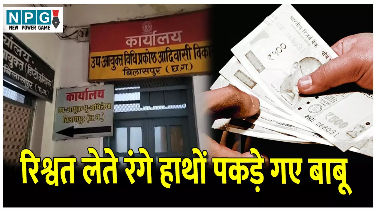 CG ACB News: ACB की कार्रवाई: आदिम जाति कल्याण विभाग का बाबू ले रहा था रिश्वत, ACB ने रंगे हाथों पकड़ा...