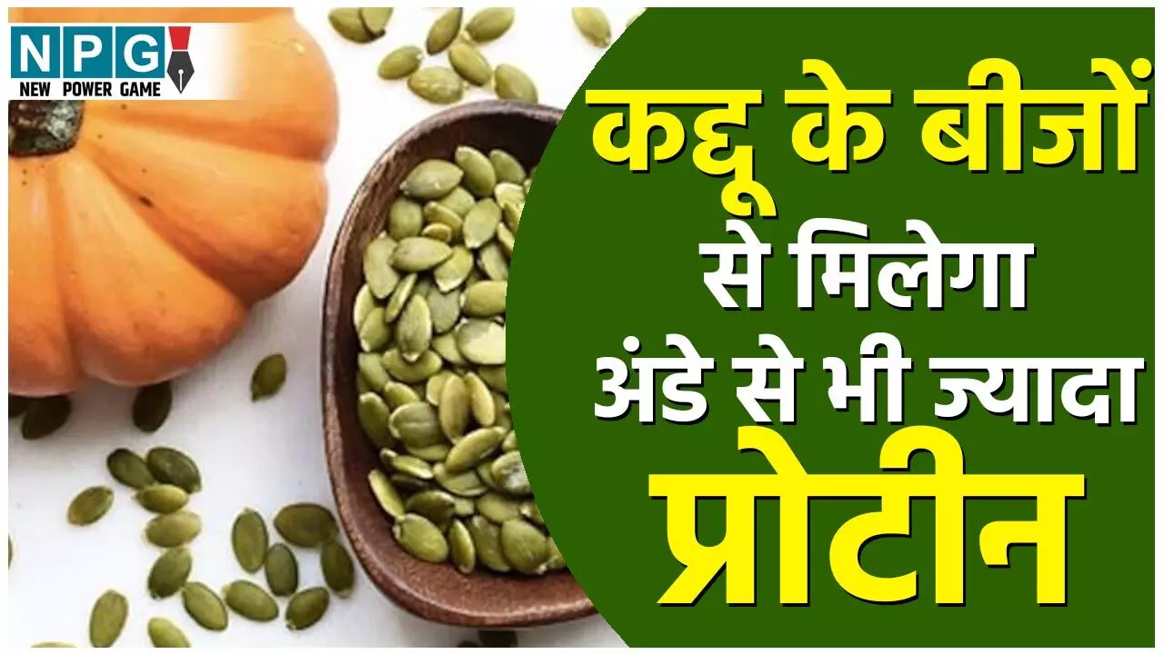 Pumpkin Seeds Health Benefits: वेजिटेरियन्स को मुट्ठी भर कद्दू के बीजों से मिलेगा अंडे से भी ज्यादा प्रोटीन, ज़बरदस्त फायदों के लिए आज ही से करें डाइट में शामिल...