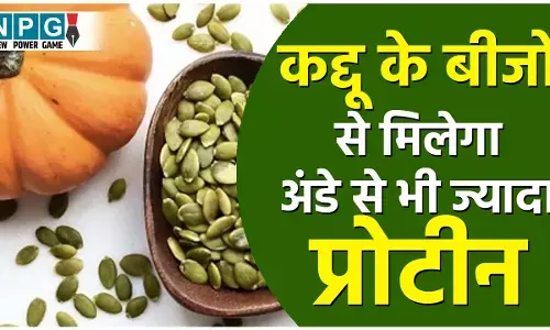 Pumpkin Seeds Health Benefits: वेजिटेरियन्स को मुट्ठी भर कद्दू के बीजों से मिलेगा अंडे से भी ज्यादा प्रोटीन, ज़बरदस्त फायदों के लिए आज ही से करें डाइट में शामिल...