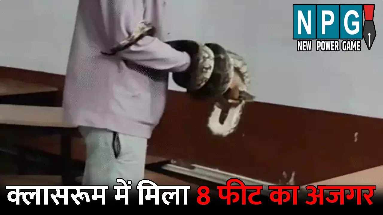 Korba Ajgar News: क्लास में पढ़ाई कर रहे थे बच्चे तभी निकला 8 फीट लंबा अजगर, छात्रों की निकल गई चीखें, देखें वीडियो
