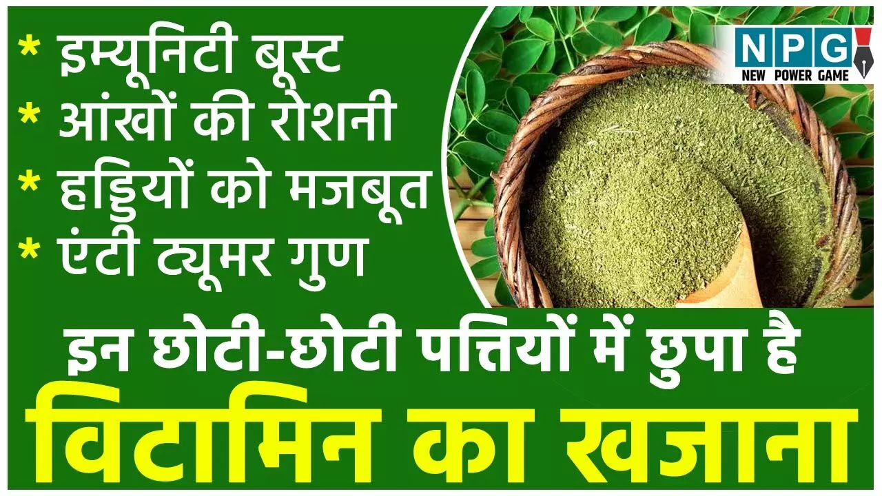 Moringa Leaves Health Benefits: इन छोटी-छोटी पत्तियों में छुपा है विटामिन B12 का खजाना, रोज़ाना खा लीं तो बाज़ जैसी आंखें और चीते सी फुर्ती मिलेगी...