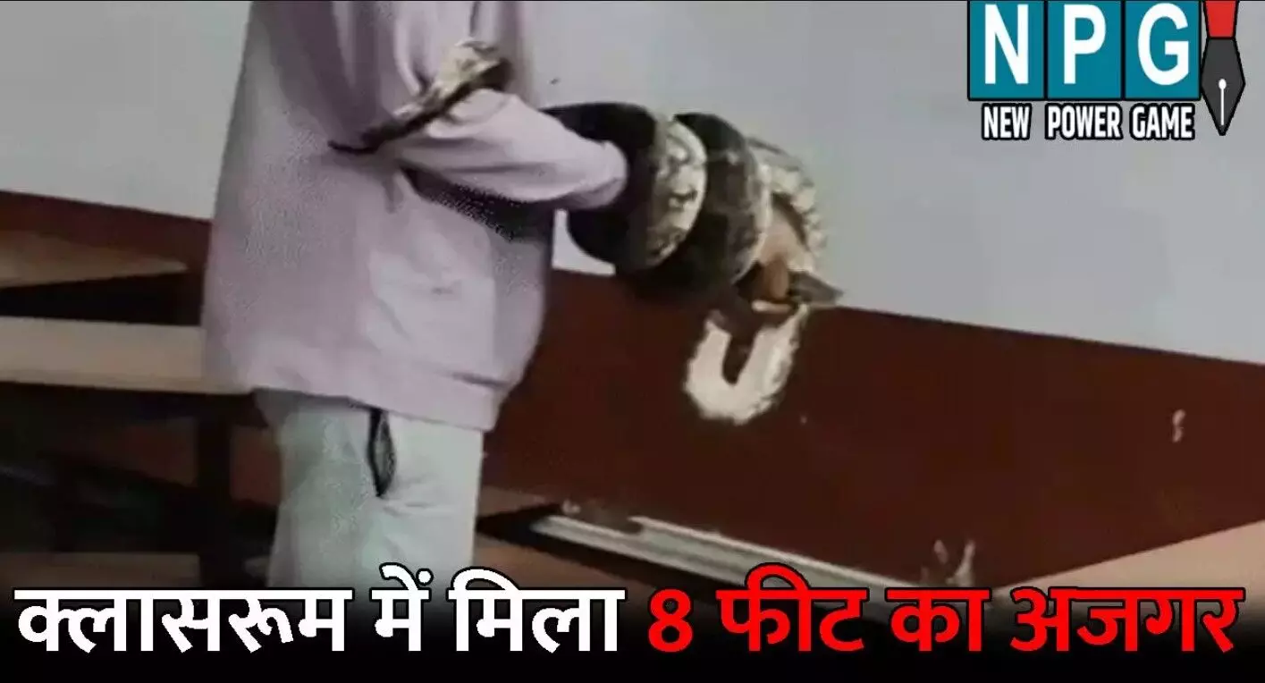 Korba Ajgar News: क्लास में पढ़ाई कर रहे थे बच्चे... ... CG Top News Today: घूसखोर चीफ इंजीनियर गिरफ्तार, मोबाइल की लत ने ली एक और जान, दुर्ग में दादी-पोती का मर्डर— पढ़ें छत्तीसगढ़ की आज की बड़ी खबरें