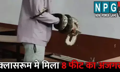 Korba Ajgar News: क्लास में पढ़ाई कर रहे थे बच्चे तभी निकला 8 फीट लंबा अजगर, छात्रों की निकल गई चीखें, देखें वीडियो