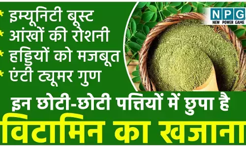 Moringa Leaves Health Benefits: इन छोटी-छोटी पत्तियों में छुपा है विटामिन B12 का खजाना, रोज़ाना खा लीं तो बाज़ जैसी आंखें और चीते सी फुर्ती मिलेगी...