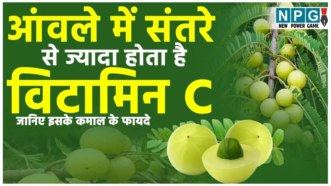 Amla Health Benefits: संतरे से चार गुना ज्यादा विटामिन C होता है आंवले में, जानिये इसके कमाल के फायदे...