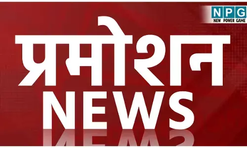 CG Promotion Breaking: CG प्रमोशन ब्रेकिंग: सरकार ने दिया सहायक प्राध्यापको को दीवाली का तोहफा, देखिये प्रमोशन आदेश