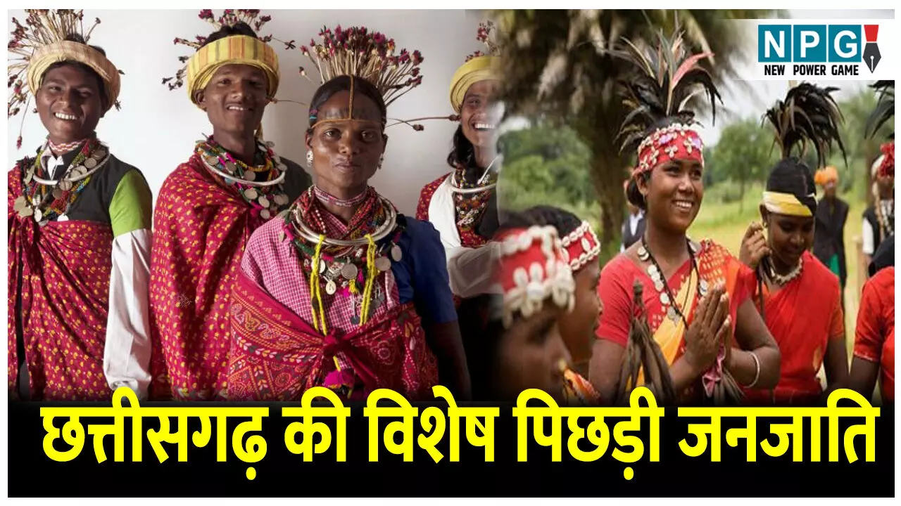 Chhattisgarh ki Vishesh pichhadi janjati: ये है छत्तीसगढ़ की विशेष पिछड़ी जनजाति , जानिए PVTG के बारे में पूरी जानकारी Chhattisgarh ki Vishesh pichhadi janjati: ये है छत्तीसगढ़ की विशेष पिछड़ी जनजाति , जानिए PVTG के बारे में पूरी जानकारी
