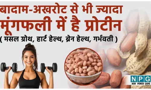 Health Benefits Of Peanuts: मूंगफली में है बादाम और अखरोट से भी ज्यादा प्रोटीन, जानिये रोज़ाना मूंगफली खाने के कमाल के फायदे...