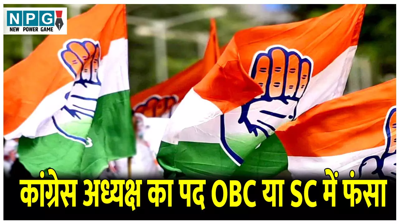 CG Politics News: कांग्रेस अध्यक्ष का पद OBC या SC में फंसा, दिल्ली ले ले गए छह- छह नामों का पैनल, जानिए कौन सा दावेदार है मजबूत