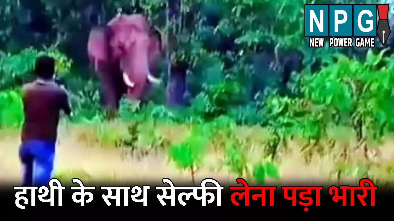Ambikapur News: हाथी के साथ सेल्फी लेना युवक को पड़ा भारी: हाथी ने पहले सूंड से दबोचा, फिर कुचलकर मार डाला