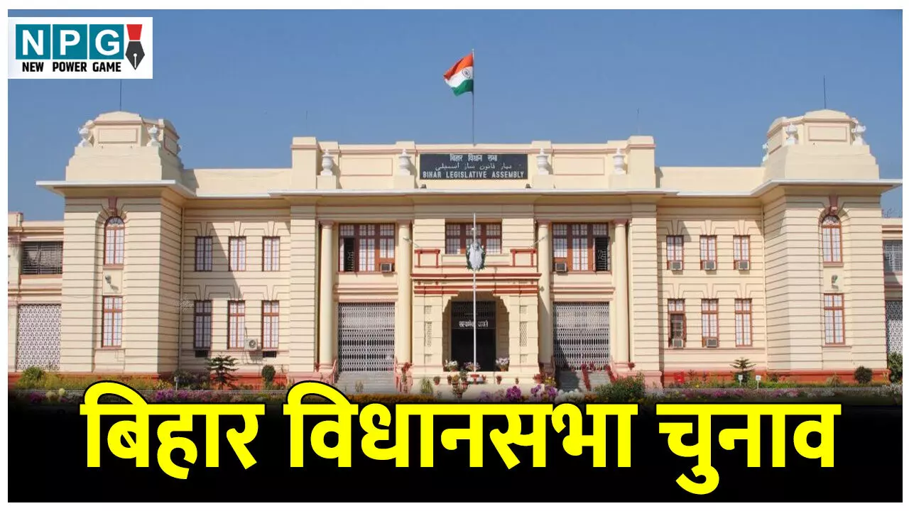 Bihar Assembly Election: बिहार विधानसभा चुनाव: 292 मतदान केंद्रों का प्रबंधन दिव्यांगजन करेंगे, चुनाव आयोग करने जा रहा प्रयोग