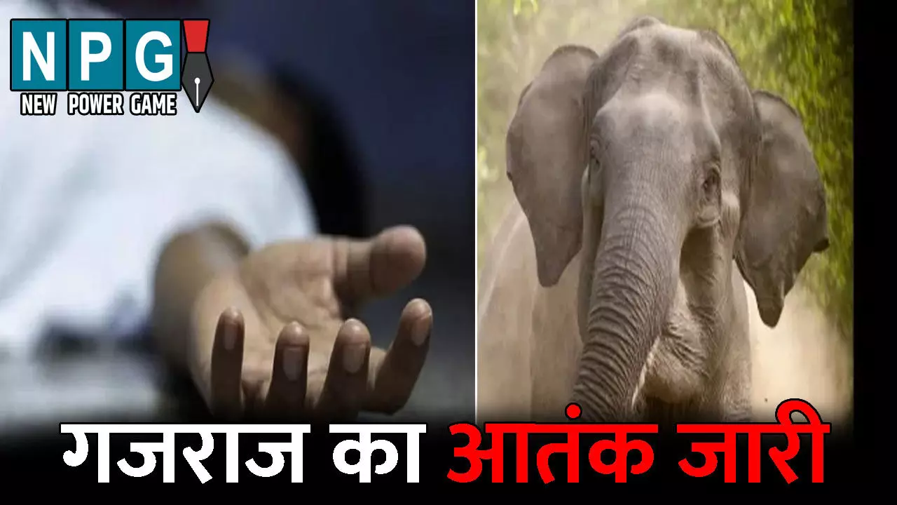 Surguja News: गजराज का आतंक जारी: युवक को कुचलकर उतारा मौत के घाट, दो ने भागकर बचाई अपनी जान