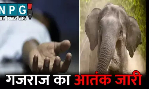 Surguja News: गजराज का आतंक जारी: युवक को कुचलकर उतारा मौत के घाट, दो ने भागकर बचाई अपनी जान