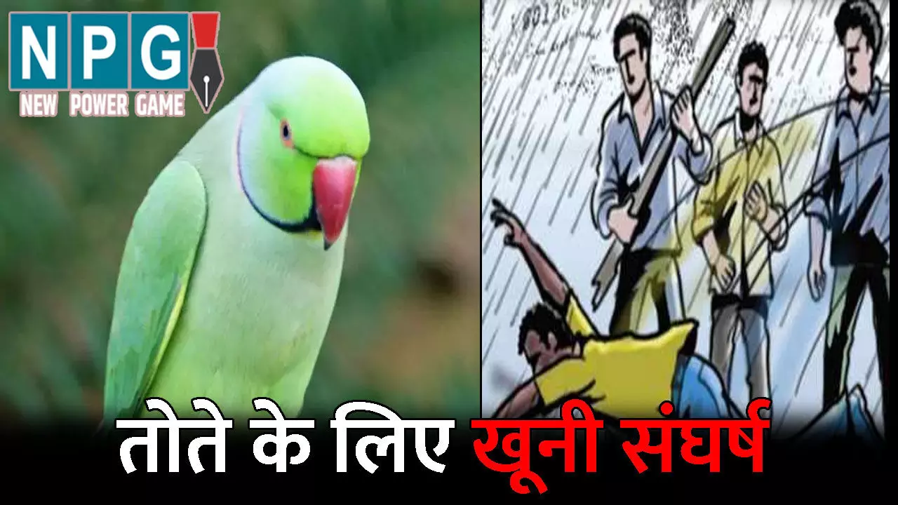 Raigarh News: तोते के लिए भाईयों में खूनी संघर्ष: बड़े भाई ने बेटों संग मिलकर की छोटे भाई की पिटाई