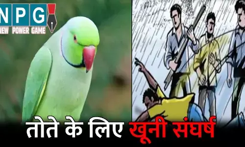 Raigarh News: तोते के लिए भाईयों में खूनी संघर्ष: बड़े भाई ने बेटों संग मिलकर की छोटे भाई की पिटाई