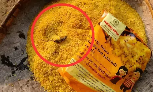 Gondia Anganwadi Shock: गोंदिया आंगनवाड़ी के पोषण पैकेट में मरा चूहा, अभिभावकों में हड़कंप