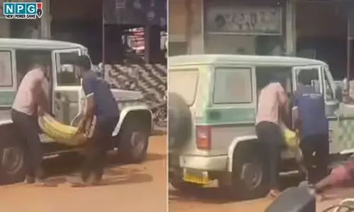 Balodabazar News: महतारी एक्सप्रेस में सीमेंट की बोरी लादने वाले ड्राइवर पर प्रशासन का सख्त एक्शन, नौकरी से छुट्टी, बर्खास्त...