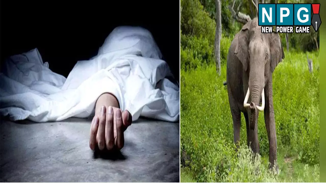 Baloda Bazar News: गजराज का आतंक: किसान को कुचलकर उतारा मौत के घाट, ग्रामीणों ने वन विभाग पर लगाया गंभीर आरोप