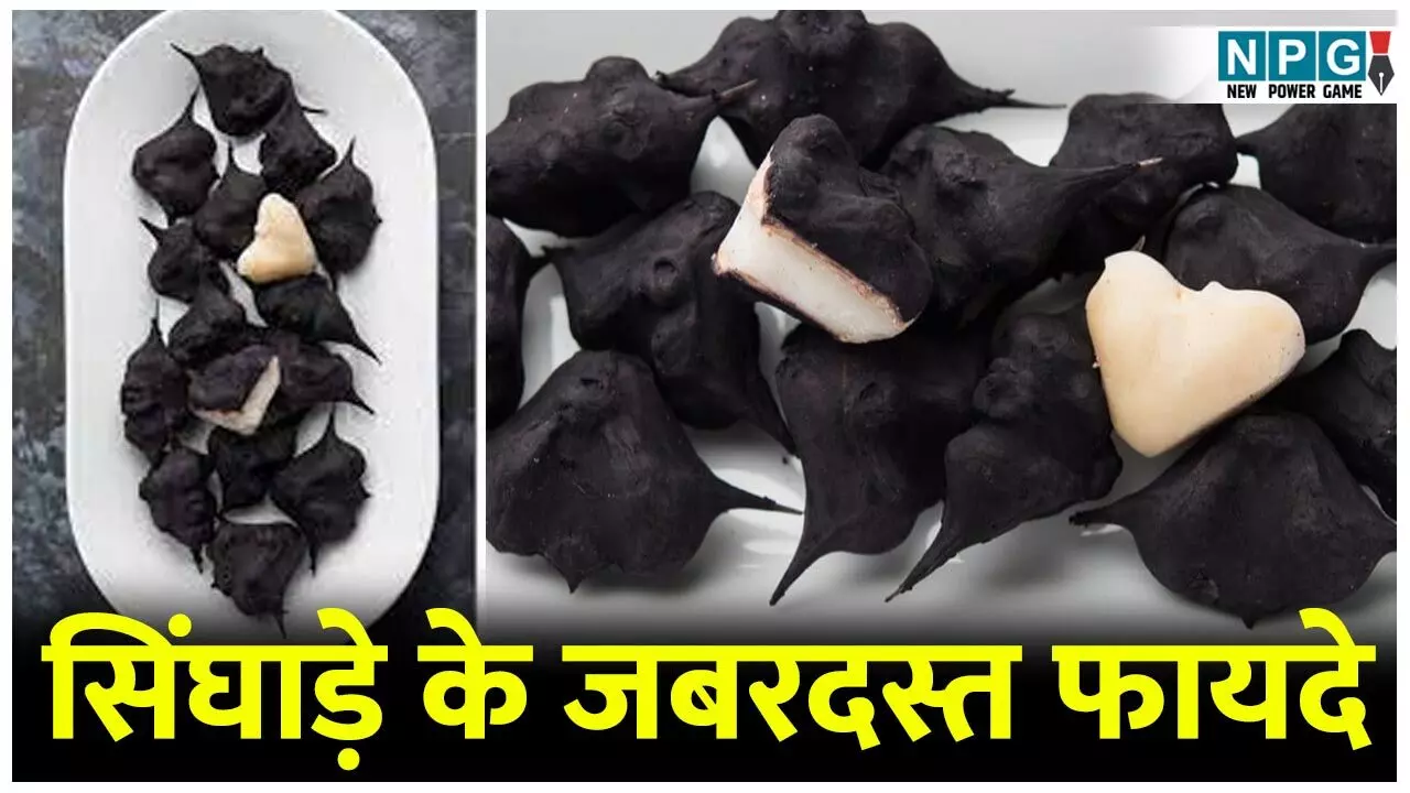 Singhara Khane Ke Fayde: आप भी करते हैं सिंघाड़े से किनारा? तो सिंघाड़े के ये फायदे जान लीजिए, हो जाएंगे हैरान...