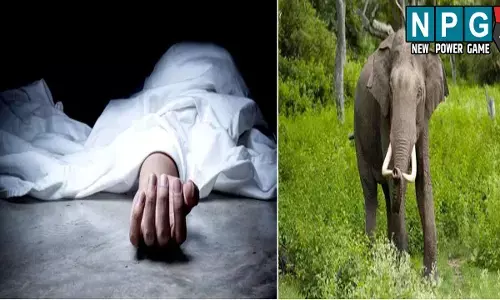 Baloda Bazar News: गजराज का आतंक: किसान को कुचलकर उतारा मौत के घाट, ग्रामीणों ने वन विभाग पर लगाया गंभीर आरोप