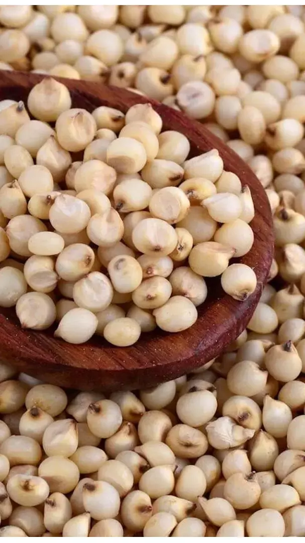 Jowar Ke Fayde: सर्दियों में ज्वार की रोटी खाने से मिलेंगे ये जबरदस्त फायदे...