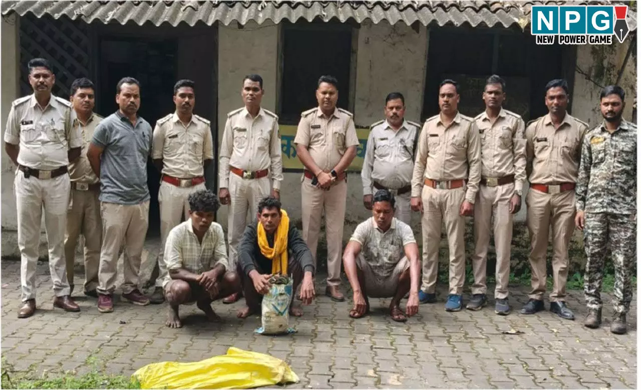 Raigarh News: रायगढ़ में मृत हाथी का मामला सुलझा,  पकड़े गए तीन आरोपी... बिजली का तार लगाकर जंगली जानवरों का करते थे शिकार...