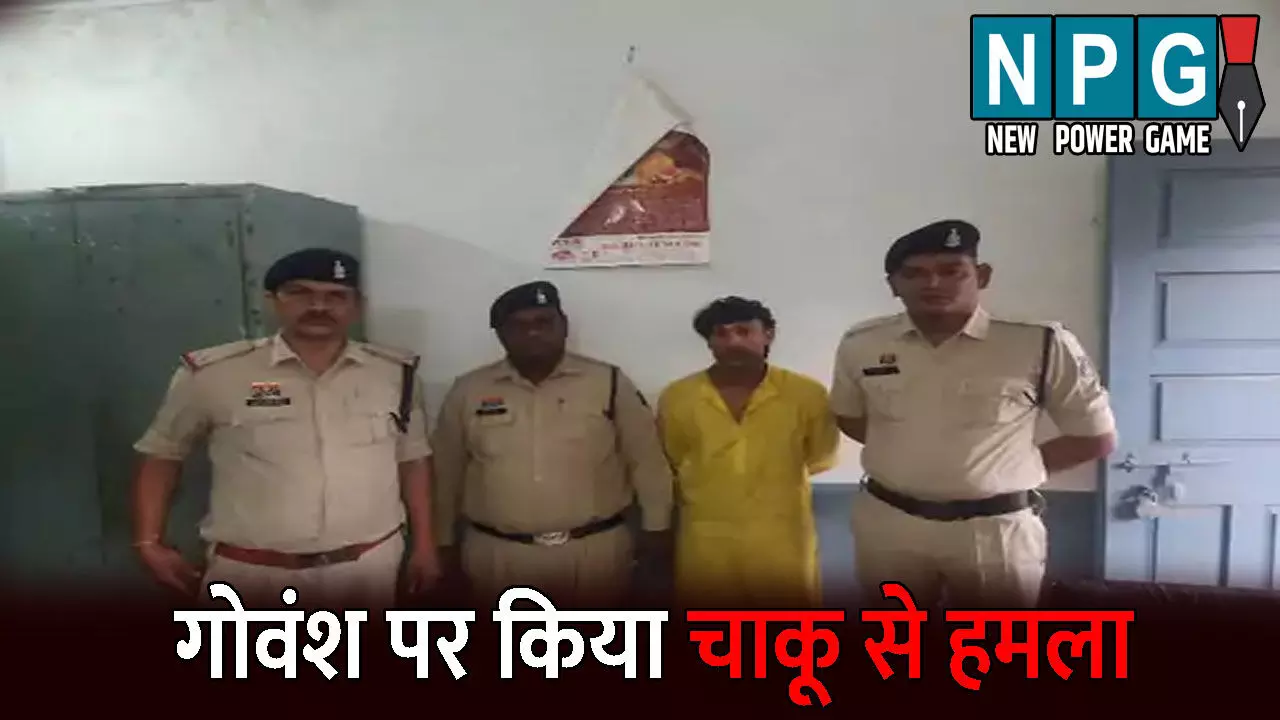 Durg Crime News: गोवर्धन पूजा के दिन गाय पर किया चाकू से हमला: आरोपी ने किए 50 से ज्यादा वार, इलाज के दौरान गोवंश की हुई मौत