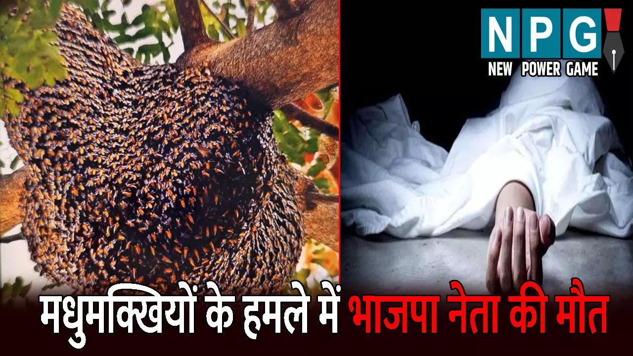 Surajpur News: मधुमक्खियों के हमले में भाजपा नेता की मौत: अस्पताल पहुंचने से पहले तोड़ा दम