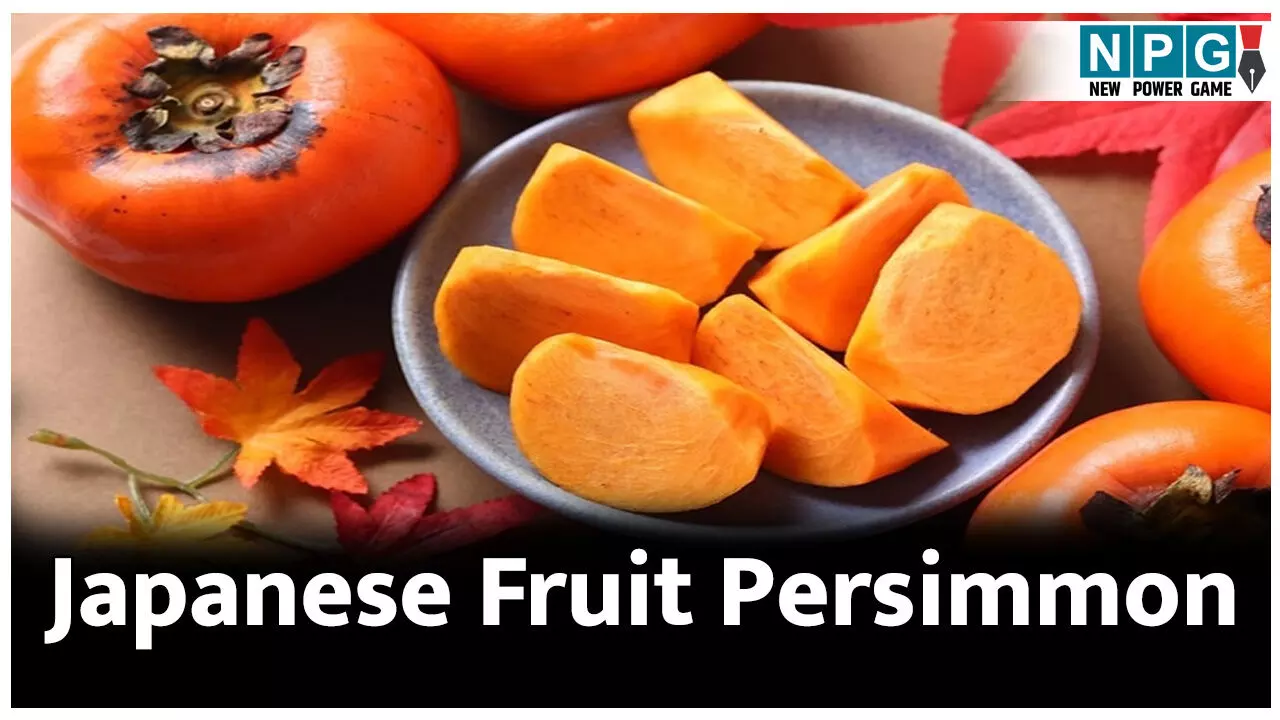 Japanese fruit Persimmon: टमाटर जैसे दिखने वाले इस फल के अनगिनत फायदे, खाते ही चमकने लगेगी स्कीन, पढ़िए पर्सिमोन फल के बारे में