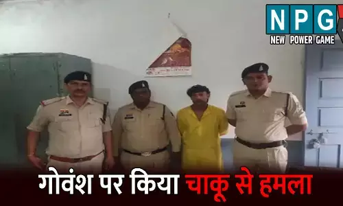Durg Crime News: गोवर्धन पूजा के दिन गाय पर किया चाकू से हमला: आरोपी ने किए 50 से ज्यादा वार, इलाज के दौरान गोवंश की हुई मौत