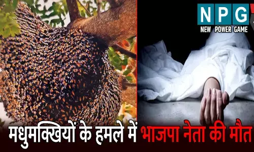 Surajpur News: मधुमक्खियों के हमले में भाजपा नेता की मौत: अस्पताल पहुंचने से पहले तोड़ा दम