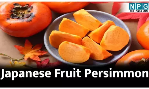 Japanese fruit Persimmon: टमाटर जैसे दिखने वाले इस फल के अनगिनत फायदे, खाते ही चमकने लगेगी स्कीन, पढ़िए पर्सिमोन फल के बारे में
